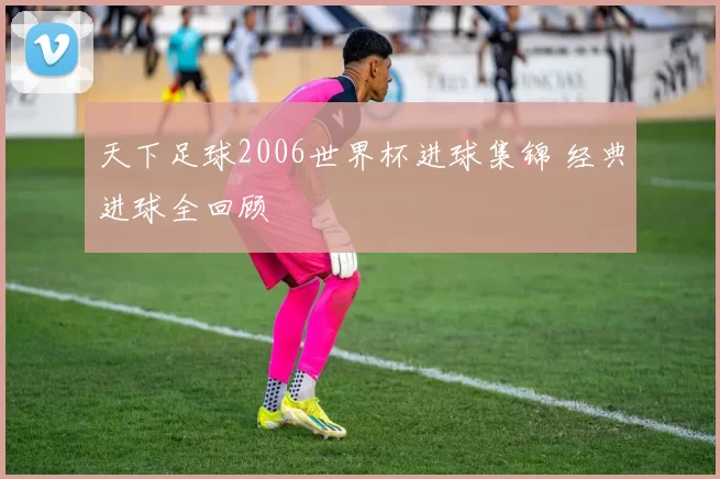 天下足球2006世界杯进球集锦 经典进球全回顾