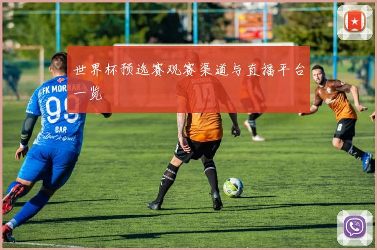 世界杯预选赛观赛渠道与直播平台一览