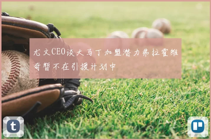 尤文CEO谈大马丁加盟潜力弗拉霍维奇暂不在引援计划中