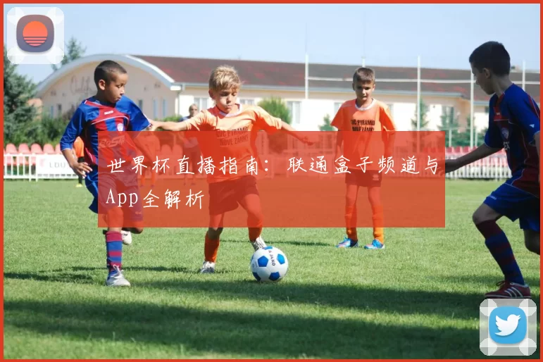世界杯直播指南：联通盒子频道与App全解析