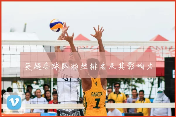 英超各球队粉丝排名及其影响力