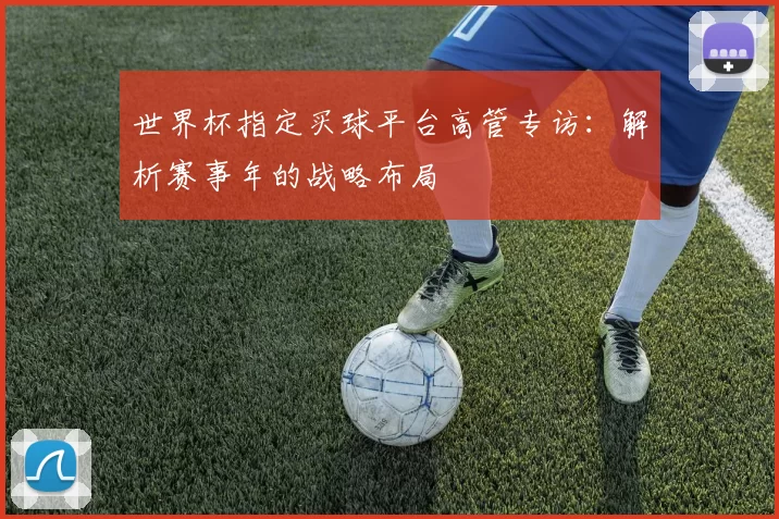 世界杯指定买球平台高管专访：解析赛事年的战略布局
