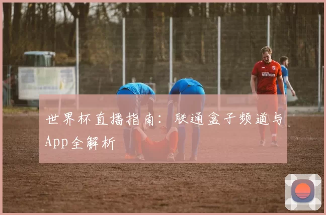世界杯直播指南：联通盒子频道与App全解析