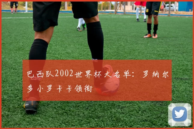 巴西队2002世界杯大名单：罗纳尔多小罗卡卡领衔