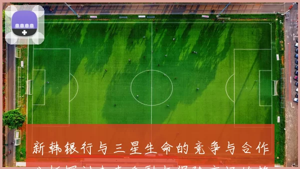 新韩银行与三星生命的竞争与合作分析探讨未来金融与保险市场的趋势与挑战