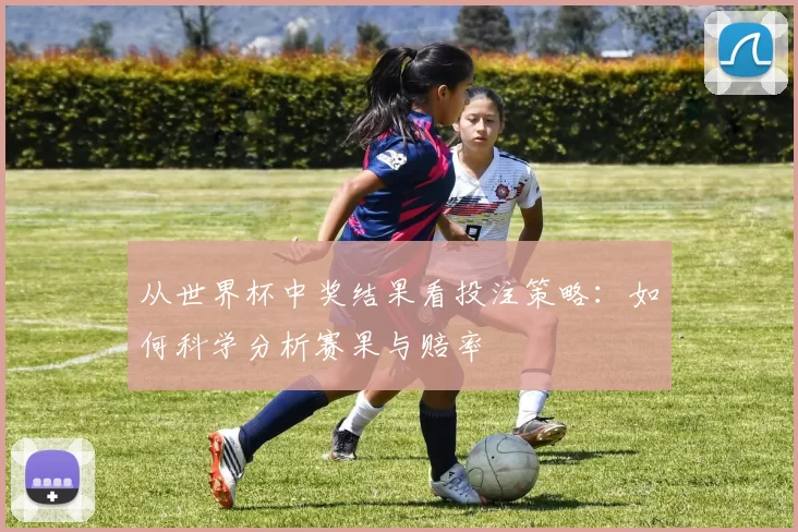 从世界杯中奖结果看投注策略:如何科学分析赛果与赔率