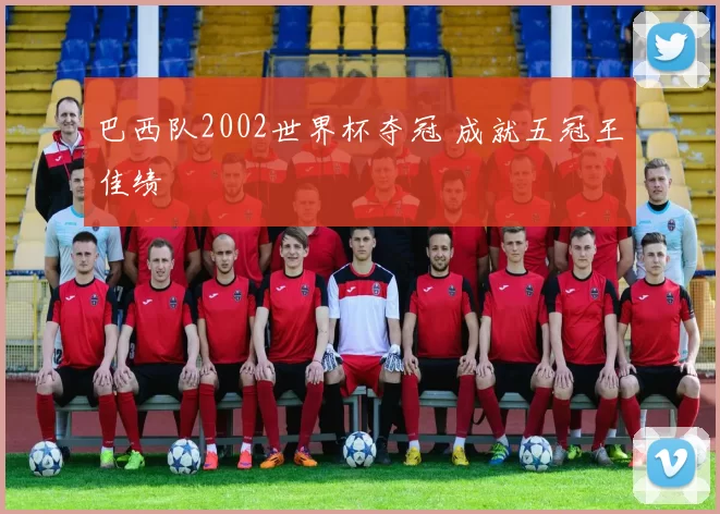 巴西队2002世界杯夺冠 成就五冠王佳绩