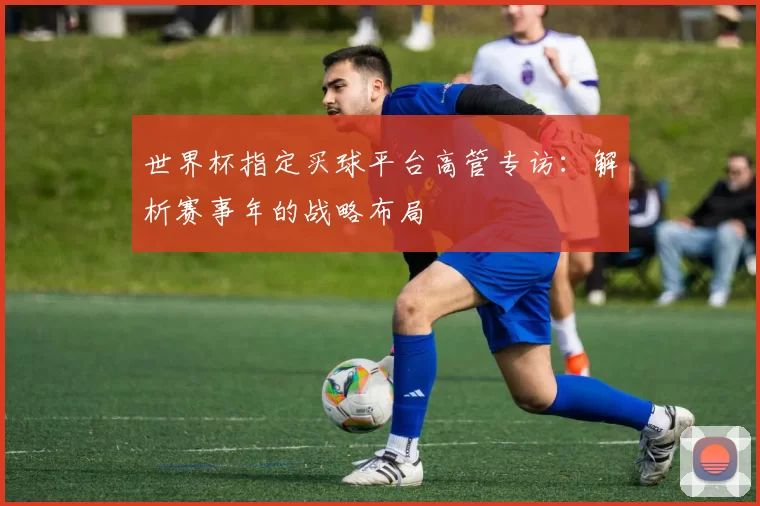 世界杯指定买球平台高管专访：解析赛事年的战略布局