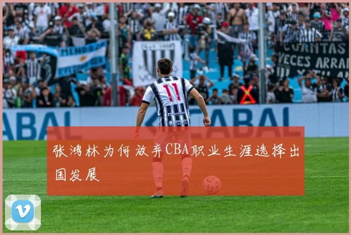 张鸿林为何放弃CBA职业生涯选择出国发展