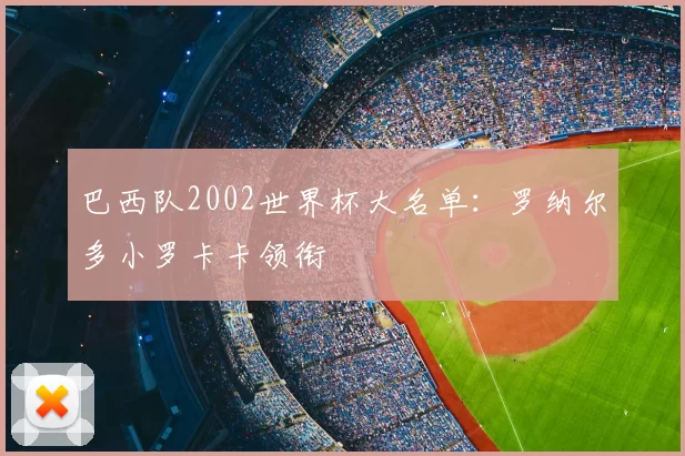 巴西队2002世界杯大名单:罗纳尔多小罗卡卡领衔
