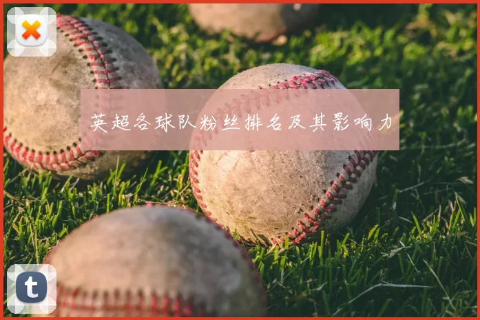 英超各球队粉丝排名及其影响力